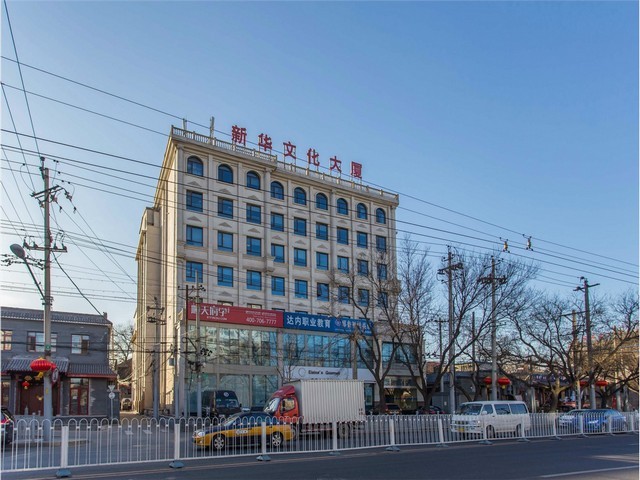 金毛宠物服装厂家